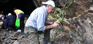 現場三維模擬展示